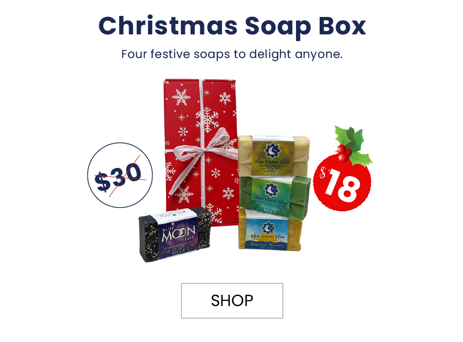 Christmas Soap Box-